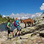Alpenrock By Alps